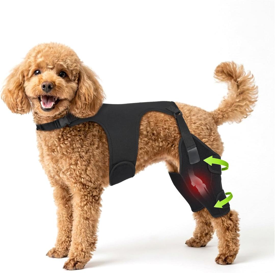Dog Knee Braces for Back Leg, Adjustable Leg Brace with 2 Stabilizers, Hip Support to Reduces Pain, Ligament Injuries, ACL CCL & Luxating Patella for Small Medium Large Dogs, M