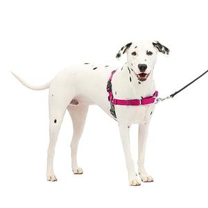 PetSafe Easy Walk No-Pull Dog Harness - The Ultimate Harness to Help Stop Pulling - Take Control & Teach Better Leash Manners - Helps Prevent Pets Pulling on Walks, Medium/Large, Raspberry/Gray