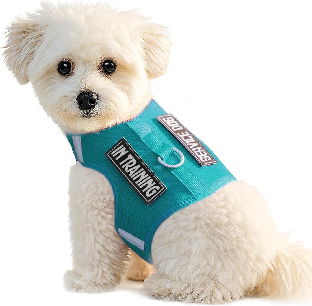 Dog Harness for Puppy  Adjustable Reflective Easy Put On Soft Mesh Vest for Small Dogs with 2 Patches (MARRS Green,S) (S(Neck:10.5-13.6",Chest:14.8-19.1"))
