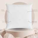 Goose Feather Down Throw Pillow Insert (20"x20", Pack of 2), Decorative Pillow for Sofa, Couch, Bed, Chair Cushion