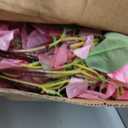 TELDRASSIL 4Pcs(26 FT) Artificial Rose Vine Fake Flower Garland Fake Silk Rose Hanging Vine for Wedding Party Background Arch Garden Background Decoration (Pink)