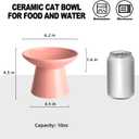 6.2 Inch Extra Wide Elevated Ceramic Cat Bowls, Food and Water Bowl Set for Elder Big Cats Small Dogs, Raised Design for Pet Easy Eating, Protect Cat's Spine Set of 2(Pink)