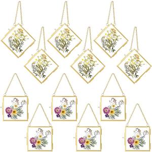 12 Pcs Hanging Clear Photo Frame Double Glass for Pressed Flower Floating Frame with Chain Display Gallery Artwork Horizontal Vertical Gold Metal Rectangle Wall Decor(3 x 3 Inch)