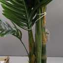 Fake Plant