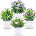Der Rose 4 Pack Small Fake Plants Mini Artificial Faux Plants Indoor with Flowers Spring Decorations for Home Room Farmhouse Desk House Bathroom Decor