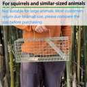 Humane Squirrel Trap Heavy Duty Live Animal Cage Trap (Not for Large Animals)