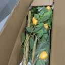 Jexine 2 Pack Artificial Lemon Tree 4 ft Tall Fake Plant Pre Potted Faux Lemon Tree Realistic Fruits for Indoor Home Decor Office Living Room