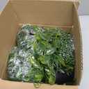 Palonu 4 Pack Faux Artificial Hanging Plants, Fake Potted Greenery with Eucalyptus Vine, Mandala, Pea Pod Leaves & String of Pearls in Pots for Office, Living Room, Bathroom, Indoor & Outdoor Dcor