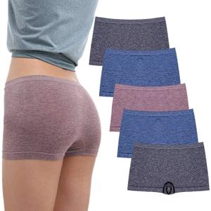 R RUXIA Women's Boyshort Panties Seamless Nylon Underwear Stretch Boxer Briefs 5 Pack (S)