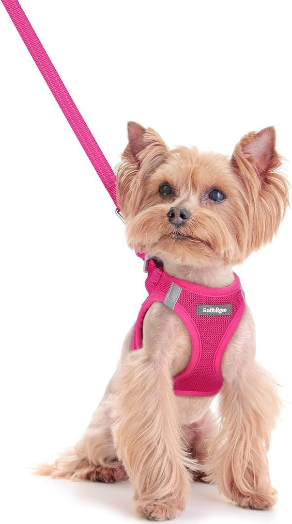 Rabbitgoo Dog Harness Small Sized and Leash Set, Step in Soft Light Puppy Vest, Breathable Mesh Pet Harness, Reflective for Safe Easy Walking, Rose Red, XXS