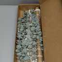 Bathroom Wall Decor Artificial Eucalyptus Boho Bedroom Decor Fake Eucalyptus Plants Leaves with Seashell on Stick Coastal Decor Natural Home Decorations for Living Room Nursery Kitchen