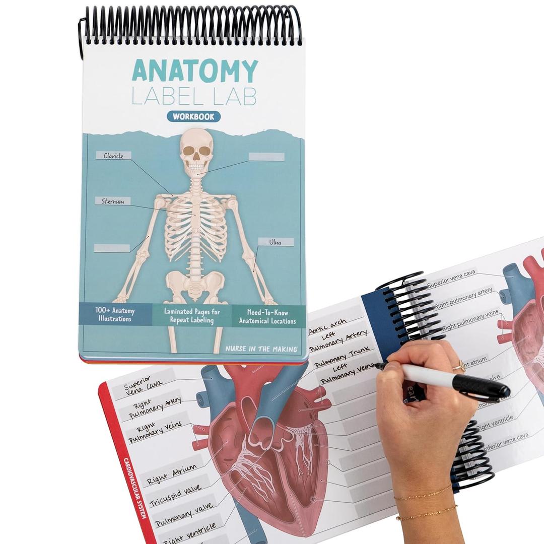 Anatomy Label Lab Workbook