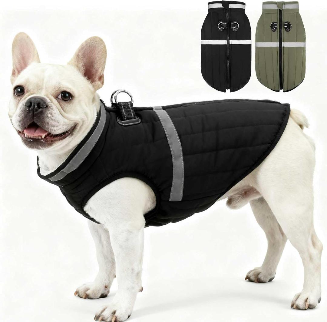 EXPAWLORER Dog Winter Coat Jacket, Thick Warm Waterproof Reflective Puppy Snowsuit with Harness Buit in, Pet Fleece Vest Soft Turtleneck with Zipper Cold Weather for Small Medium Dogs - Black, S