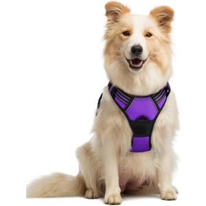 rabbitgoo Dog Harness No Pull with 2 Leash Clips, Adjustable Soft Padded, Reflective Oxford No Choke Pet Vest with Easy Control Handle for Medium Sized Dogs, Purple, Medium