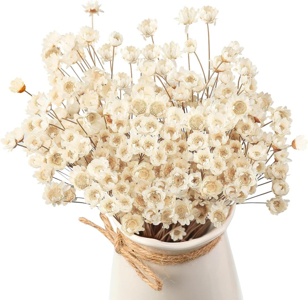 WILLBOND 200 Pcs Natural Dry Flowers White Mini Dried Star Daisy Floral Decorative Chamomile Bouquet for Wedding Floral Arrangements Home Vase Decorations