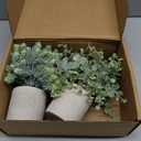 CCILAND 3 Pack Small Potted Fake Plants, Artificial Eucalyptus Plants, Lifelike Faux Frost-Hung Plants Topiaries for Home Office Shelf Desk Living Room Greenery Decor