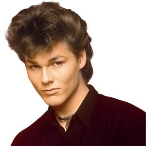 Men 80s Wig Short Brown Mullet Wigs,Disco Rocker Punk Synthetic Hair for Daily Cosplay Halloween Wigs