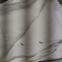 Zippered Mattress Encasement, Twin