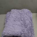 Pettop Fluffy Lavender Purple Area Rug for Bedroom Living Room, 3x5 Feet Soft Plush Fuzzy Rugs for Girls Kids Boys, Non-Slip and Washable Rug for Nursery Classroom, Carpet for Rooms Decor