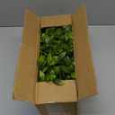 Artificial Eucalyptus Plant in Rustic Rectangular Wooden Planter Box Faux Potted Herb Plant Greenery Arrangement for Farmhouse Indoor Wedding Table Centerpiece Mantel Shelf Kitchen Decor