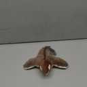 Tocirelo Cat Toy Flapping Bird (No Flying) - Simulate Chirping Flappy Bird, Interactive Cat Toys for Bored Indoor Adult Cats, Rechargeable Realistic Catnip Kicker Toy with Flapping Wings for Kitten