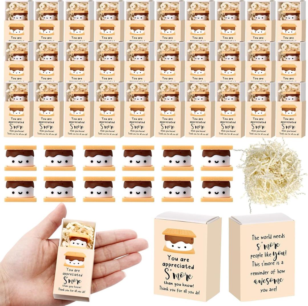 Wettarn 36 Sets Volunteers Appreciation Gifts S'more Gifts Bulk Marshmallow with Box Office Party Favors Thank You Gift Rewards for Teacher Nurse Coworkers Staff Team Employee (Marshmallow)