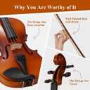 Violin 4/4 Full Size Kit for Adults Beginner, Violin Fiddle Set for Student with Rosewood Bow,Extra Strings&Bridge, Fingerboard Stickers, Shoulder Rest, Case,2 rosins(Plywood)