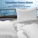Canadian Luxury Goose Down Pillow Queen Size - 900 Fill Power, 100% Cotton with Teflon Shell- Ultra Comfort Sleep Pillows - Bed Pillows for Back, Stomach, Side Sleeper White,Queen (Pack of 1)