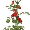BUZZY Seeds Self-Watering Vertical Tomato Planter, Trellis, 1.2 Gal, Blue | Self-watering vertical planter with aluminum trellis & 1.2-gal reservoir; grows tomatoes & climbers; blue finish for patios