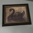 Framed Swan Canvas Wall Art Vintage Grace Black Swan Painting Picture Wall Decor Dark Academy Gothic Animal Poster Print Artwork for Living Room Bathroom Bedroom Study Home Decoration (11"L x 9"W)