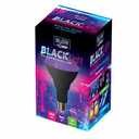 Black Light 9.5 W