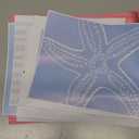 6Pcs Blue Coastal Wall Art Summer Beach Shell Wall Decor Pictures Light Blue Bikini Plant Starfish Posters Canvas Prints for Modern Shoreside Themed Home Decoration Bathroom Room Decoration Unframed