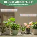 LORDEM Grow Light for Indoor Plant, Full Spectrum LED Plant Light, Height Adjustable Growing Lamp with Auto On/Off Timer 4H/8H/12H, 4 Dimmable Brightness, Ideal for Home Desk Plant Lighting, 2 Pack