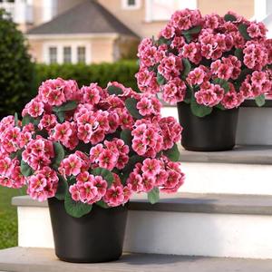 2 Pack Artificial Geranium Flowers Topitary Trees for Outdoors, UV Resistant Geraniums Potted Bushes Look Real Silk Faux Plants for Front Door Garden Porch Planter Farmhouse Home Decor (Peach Red)