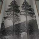 KUVIOKE Vintage Black Gray Forest Wall Art Framed Antique Retro Tree Prints Modern Rustic Artwork Bedroom Living Room Ready to Hang 16x24in (Natural Framed) (24L" x 16W" x 3 Panels Natural)