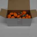 WILLBOND 15 Clusters Artificial Mini Orange Simulation Decorative Tangerine Kitchen Table Fake Orange Realistic Artificial Fruit Bowl Tray Faux Fruit for Home Party Kitchen Festival Decor