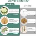 Vintage Battery Operated Wall Sconce with Cute Green Tulip Glass Lampshade Wireless Rechargeable Battery Powered Wall Light with Remote Control for Bedside Bedroom Doorway