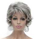 Aimole Short Curly Synthetic Wigs Full Capless Hair Women's Thick Wig for Everyday Light Gray with Dark Root (48T) 