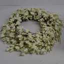 Summer Wreath for Front Door, 24 Inch White Cream Forsythia Summer Spring Wreath Blossom Cluster Flower Farmhouse on Grapevine for Christmas Festival Celebration Front Door Wall Window Hanging Dcor