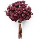 Floroom Ranunculus Artificial Flowers 18 Pcs Burgundy Faux Silk Mini Ranunculus Bulk Fake Wedding Filler Flowers for DIY Red Bouquets, Centerpieces, Bridal Shower Decorations & Arrangements