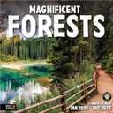 RED EMBER Magnificent Forests 2026 Wall Calendar 12 Month | 12" x 24" Open | Thick & Sturdy Paper | Holiday Gift | Nature Calendar 2026
