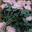 50 PCS Roses Artificial Flowers, Fake Roses with Stem Realistic Blush Silk Rose for DIY Wedding Bouquets Table Centerpieces Arrangements Baby Shower Birthday Home Decor Valentines Day Gift for Her