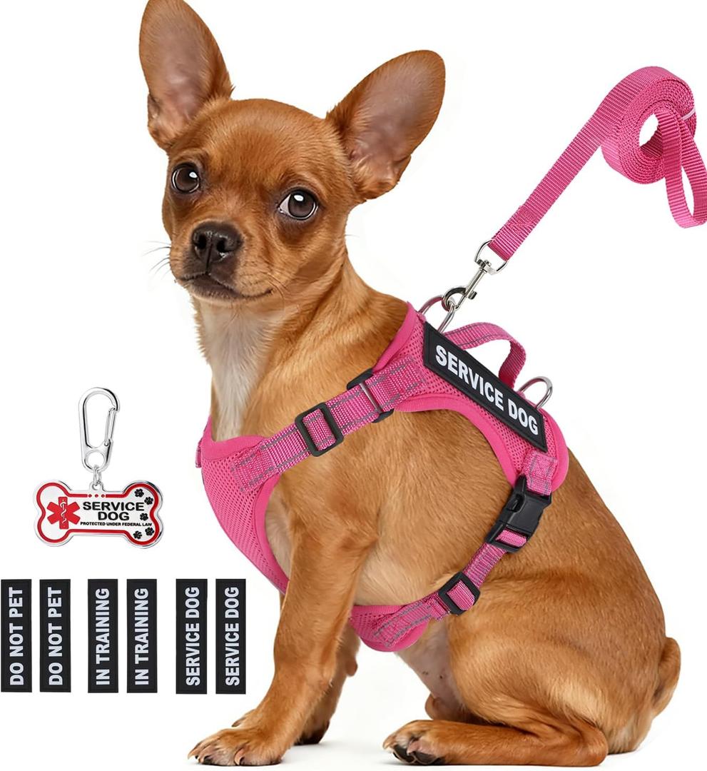 Service Dog Vest for Small Breed Dogs with ID Tag  Lightweight Puppy Harness and Leash Set with 6 PCS Patches, Ideal Service Animal Vest for Training, Complete Service Dog Gear, Hot Pink, M
