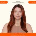 amika normcore signature shampoo