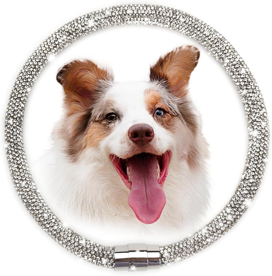 Suavifurri Diamond Collar for Dogs Diamond Dog Dollar with Full Rhinestones Design Dog Necklace Pet Jewelry for Medium Large Dogs 12 inch