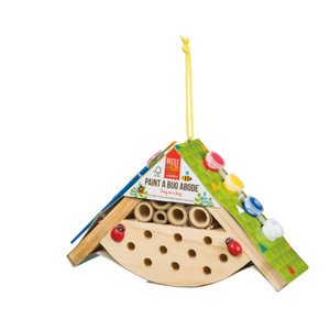 Paint a Bug Abode