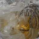 Farmhouse Pendant Lighting, Mini Rustic Hanging Light Fixture with Seeded Glass Shade for Kitchen Island, Foyer, Hallway, Bedroom and Entryway, Bronze, Set Of 2