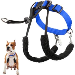 Original Sporn Halter - Medium Size No Pull Dog Harness for Large Dogs That Pull - Adjustable, Lightweight & Anti-Choke Dog Halter Harness for Training & Walking Strong Pullers, M, Blue
