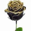 Black Glitter Gold Roses