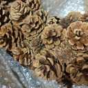 Huashen 18 Inch Fall Wreath for Front Door Full Artificial Pinecone Wreath
